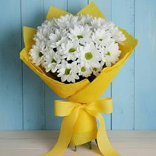 Букет цветов из:  Хризантемы в Бытошь