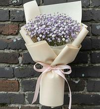 Букет цветов из:  Гипсофила в Бытошь