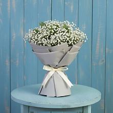 Букет цветов из:  Гипсофила в Бытошь