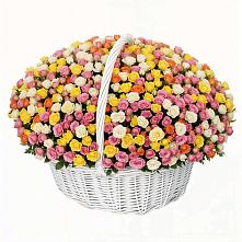 Премиум букет из: Розы в Бытошь