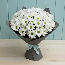 Букет цветов из:  Хризантемы #REPLACE_PRED# Бытошь