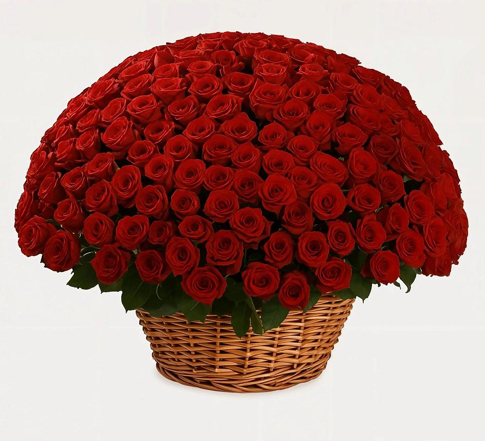 Премиум букет из: Розы в Бытошь