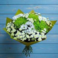 Букет цветов из:  Хризантемы в Бытошь