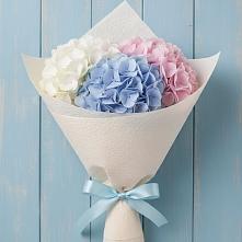 Букет цветов из:  Гортензия в Бытошь