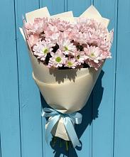 Букет цветов из:  Хризантемы в Бытошь