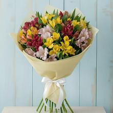 Букет цветов из:  Альстромерии #REPLACE_PRED# Бытошь