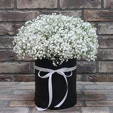 Цветочная композиция из Гипсофила в шляпной коробке #REPLACE_PRED# Бытошь