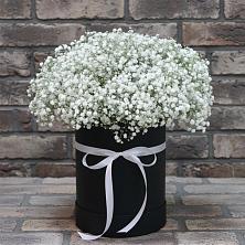 Цветочная композиция из Гипсофила в шляпной коробке в Бытошь