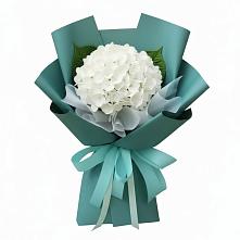 Букет цветов из:  Гортензия в Бытошь